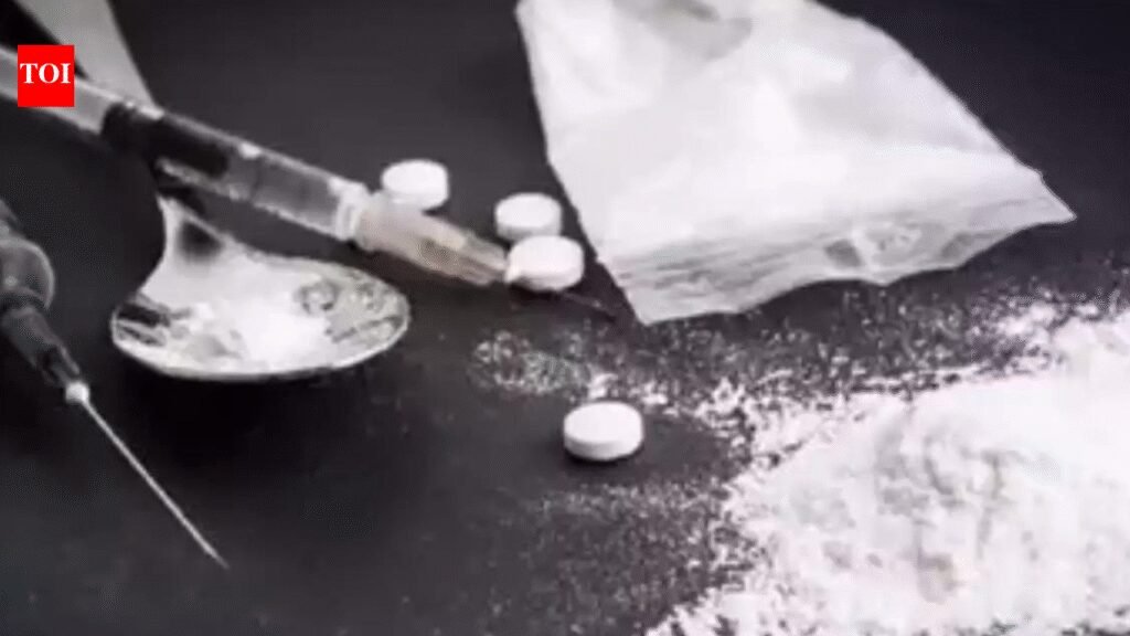 Courier parcels from France, Belgium fuelled drug racket across Indian cities | Hyderabad News