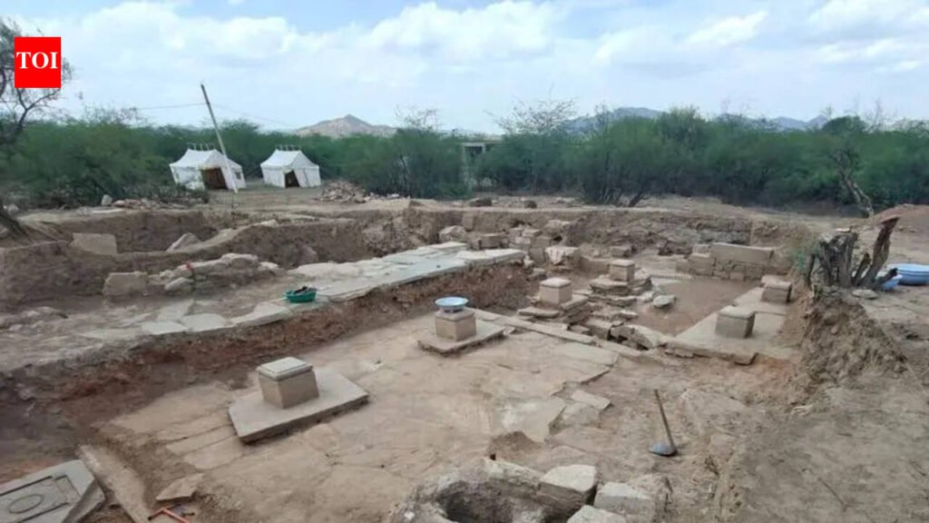 Temple ruins shed new light on Shekhawati history | Jaipur News