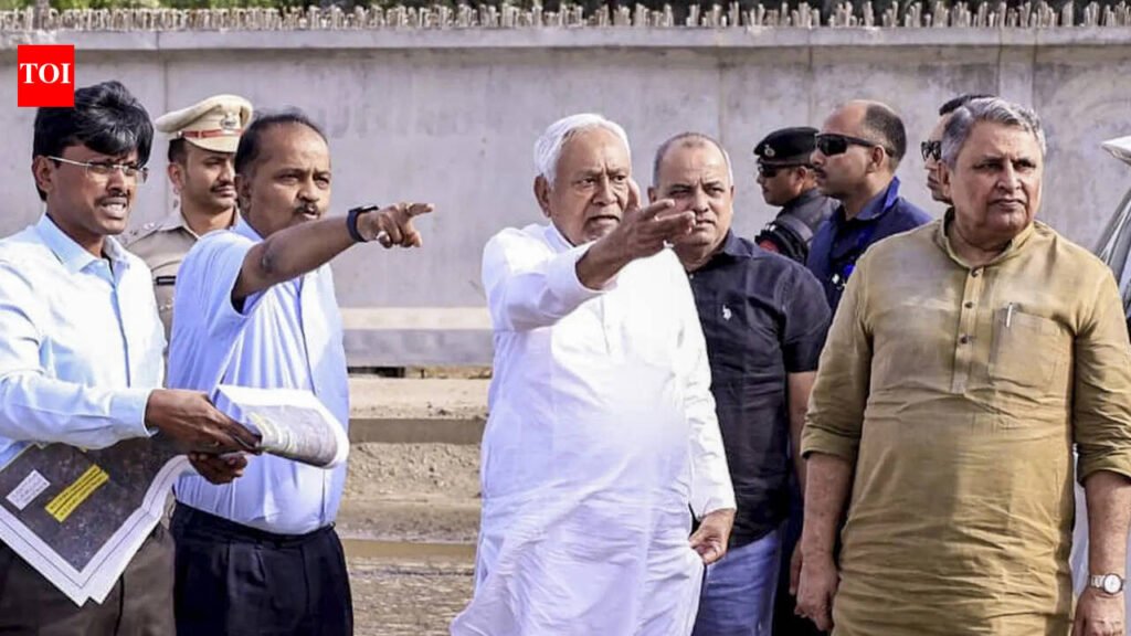 CM inspects Danapur-Bihta elevated corridor and Bihta airport projects | Patna News