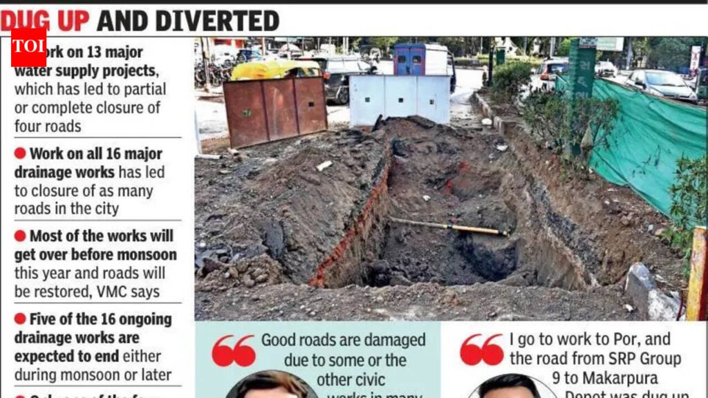 COMPULSIVE DIGGING DISORDER | Vadodara News