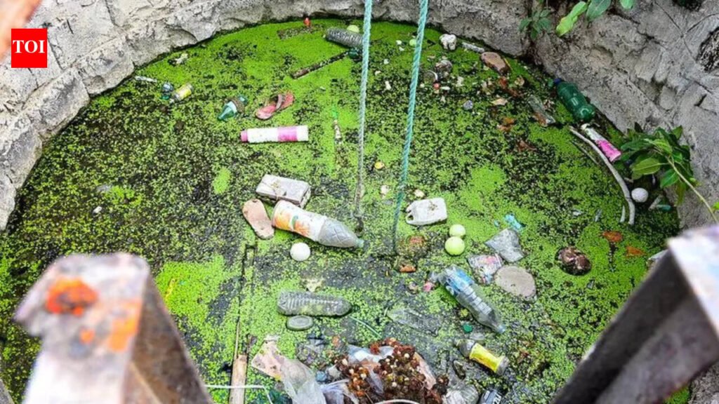 NMC to spend Rs2.23 crore as 385 wells remain unclean | Nagpur News