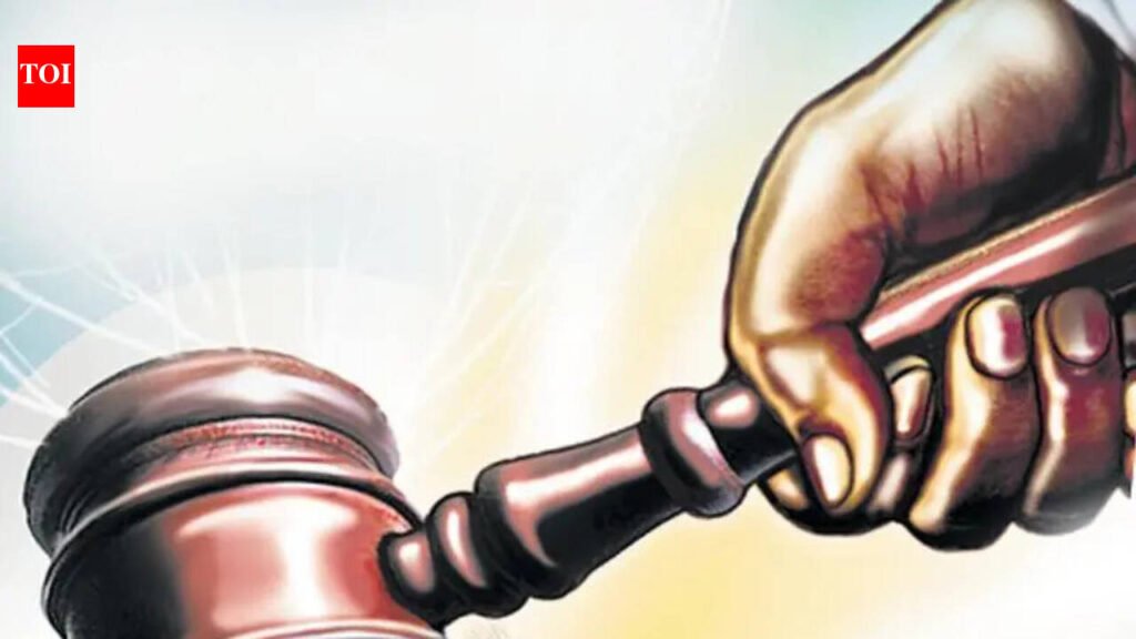 HC orders probe into pollution by cement unit in Sirohi | Jaipur News