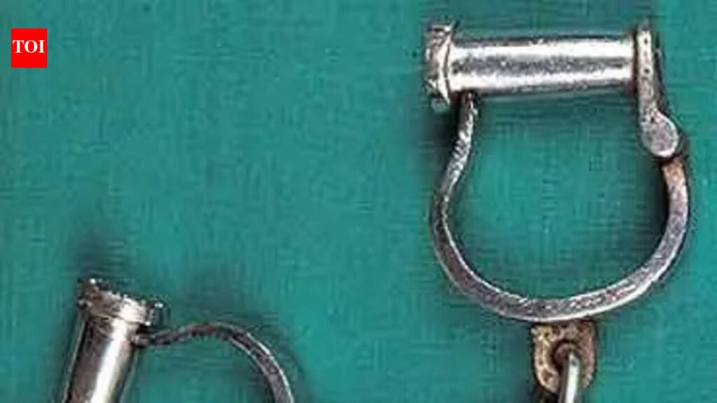 SSB jawan held on charge of raping colleague’s daughter in Kishanganj | Patna News