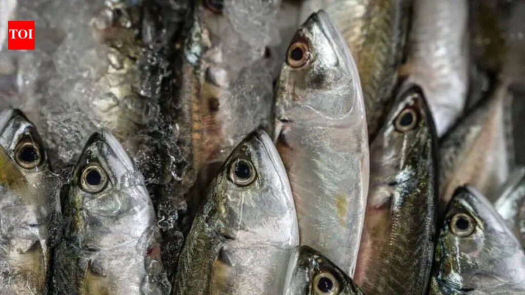 More dead fish found near Harike | Chandigarh News