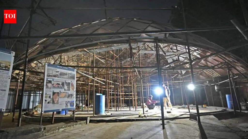 AMC report: Calico Dome at risk as revamp ignores existential geometry | Ahmedabad News