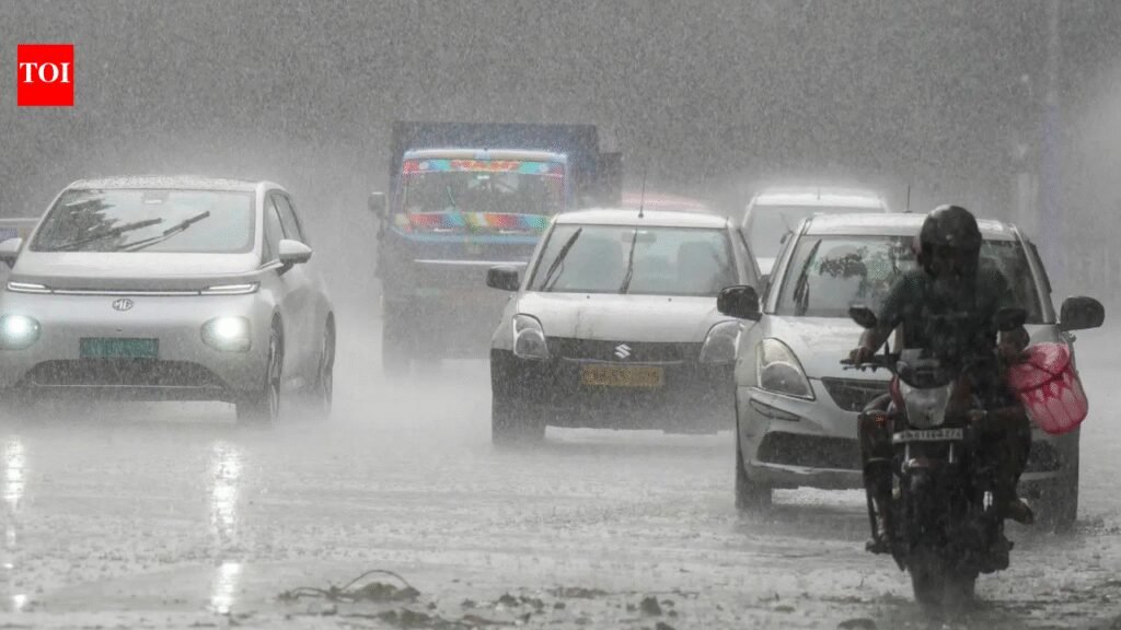 IMD predicts cooler temps in north-west India, rain likely | India News