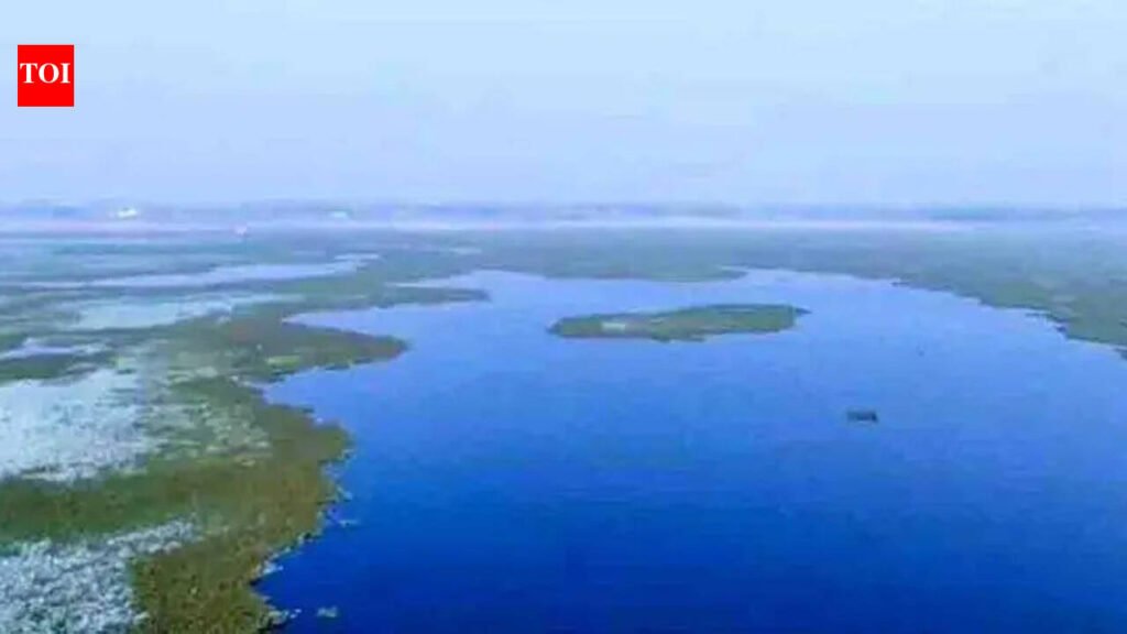 Kaushambi’s Alwara lake to turn into eco-tourism site | Prayagraj News