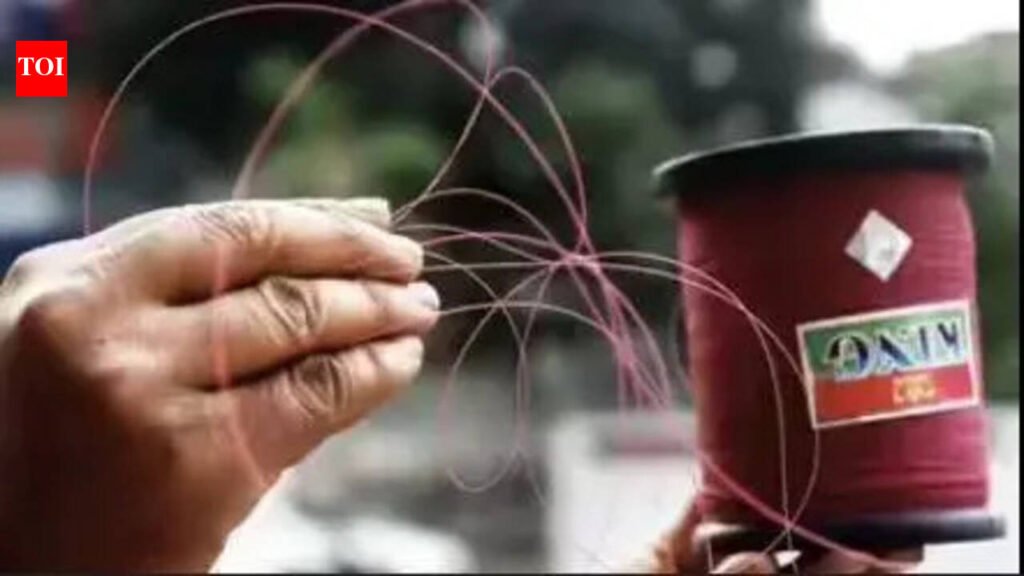 Two held in Vanagaram for flying manja kites | Chennai News