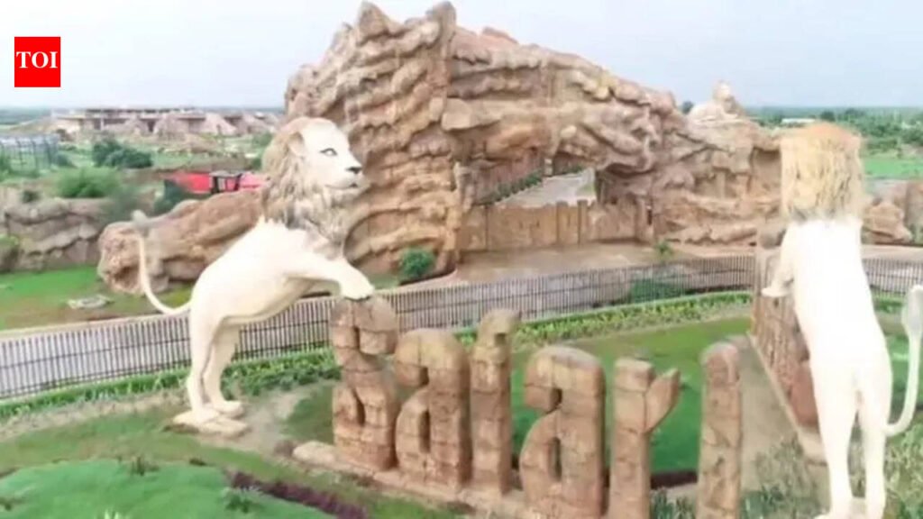 Lioness from Rohtak selected to mate with Etawah Safari lions | Kanpur News