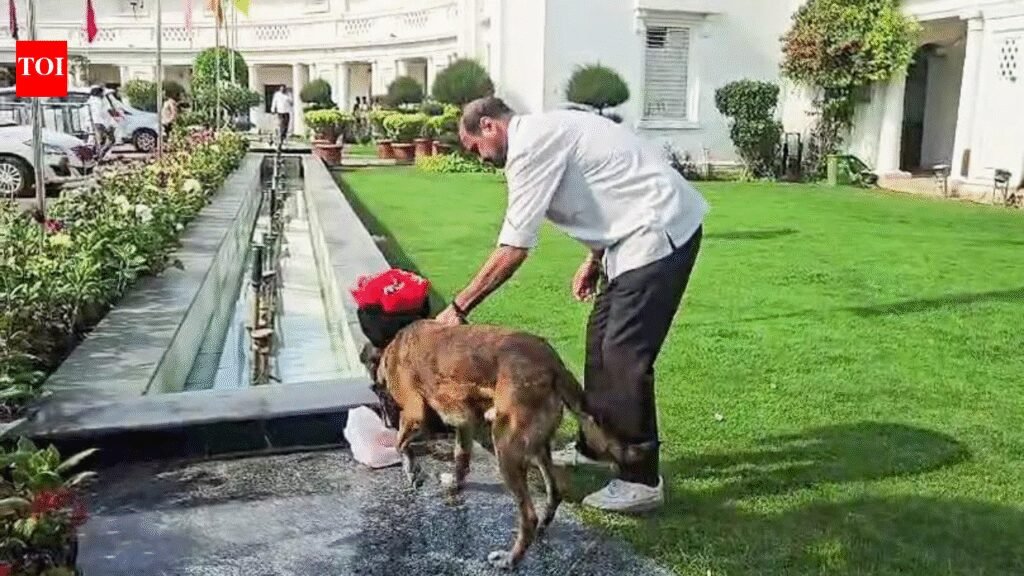 Delhi Assembly security scare: Police nab suspect, seize car; no bomb-like object found | India News