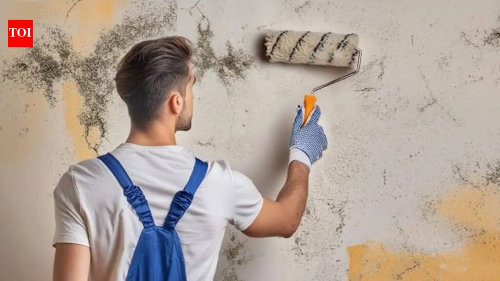 Surprising danger of painting over mould: Wellness experts warn covering up damp patches creates invisible health hazard