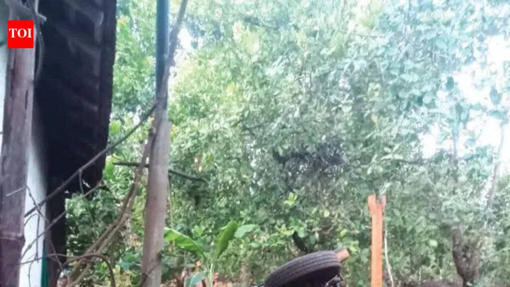 ‘Omkar’ causes havoc in Kadashi-Mopa area, damages vehicles | Goa News