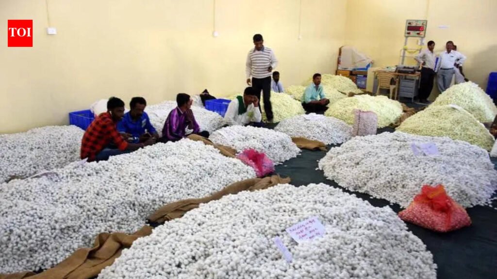 In Mysuru: Construction of permanent cocoon market begins in June | Mysuru News