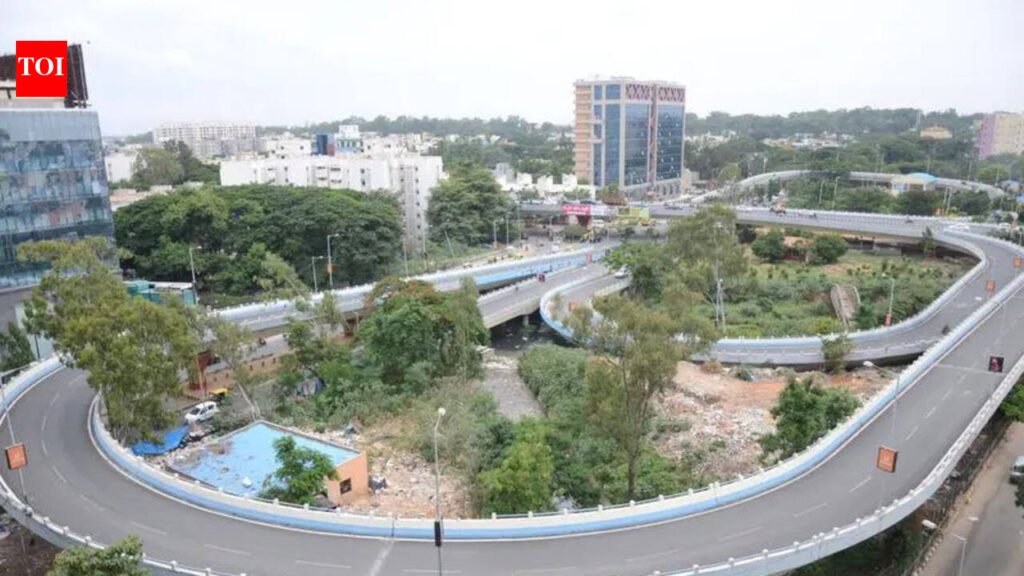 35 flyovers, 25 underpasses, 101 skywalks: Police plan to rewire Bengaluru | Bengaluru News