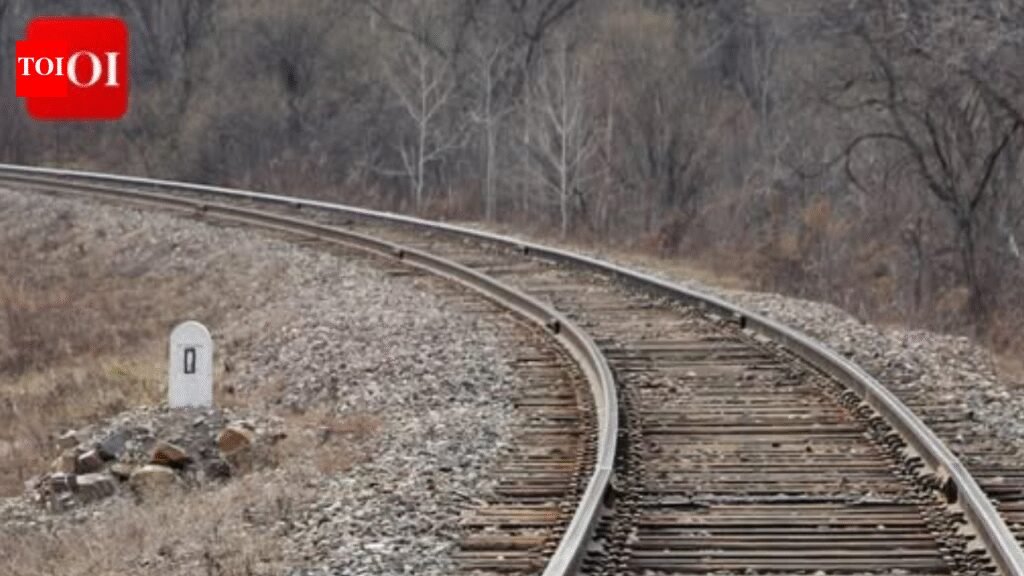 ‘Live separately or face fights’: Harassed over wife’s refusal to cook for family, man jumps in front of running train near Mumbai | Thane News