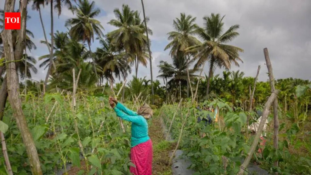 Cash crunch hits farm co-ops, govt plans interest rate hike | Bengaluru News