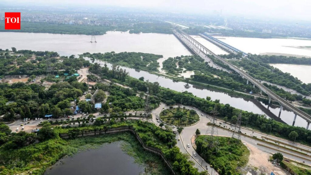 ‘Harshit was trained swimmer’: Mother of Amity student questions injury marks on hand, back & legs | Noida News