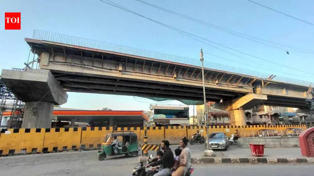 FLYOVER PROJECTS CRAWL, BUSINESSES STALLED | Vadodara News