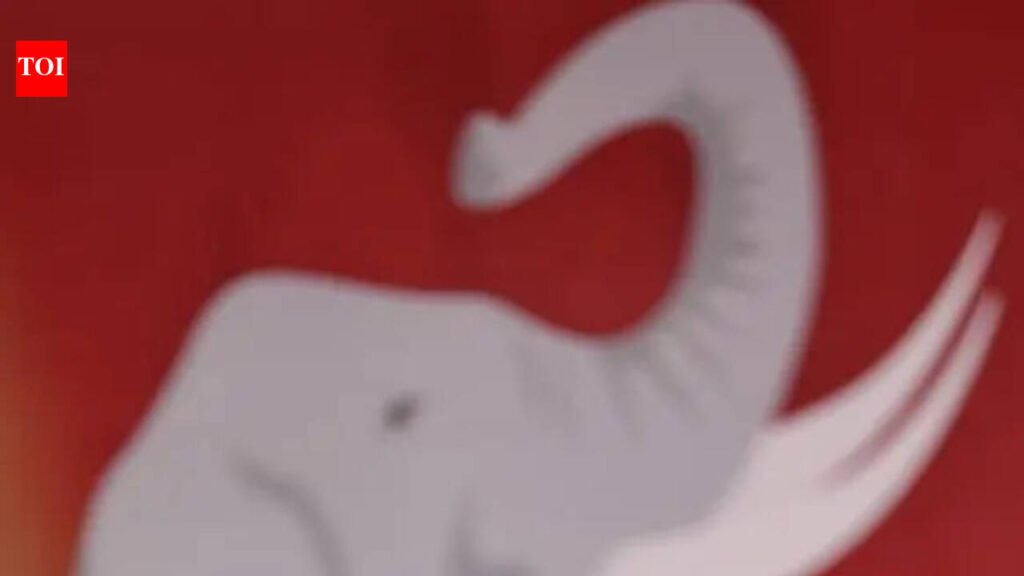 TVK ups vigil on candidates after lapse in Edappadi seat | Chennai News