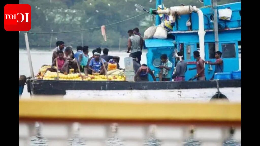 Soaring Diesel Prices Threaten Goa’s Fishing Industry | Goa News