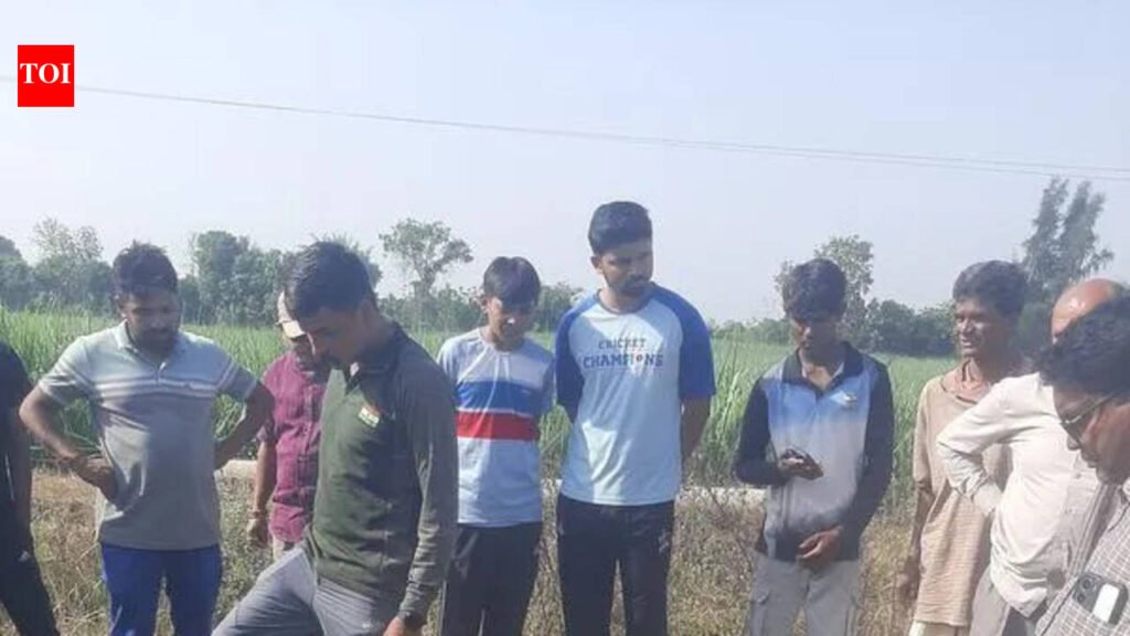 Leopard run over by vehicle on NH-53 in Bardoli | Surat News