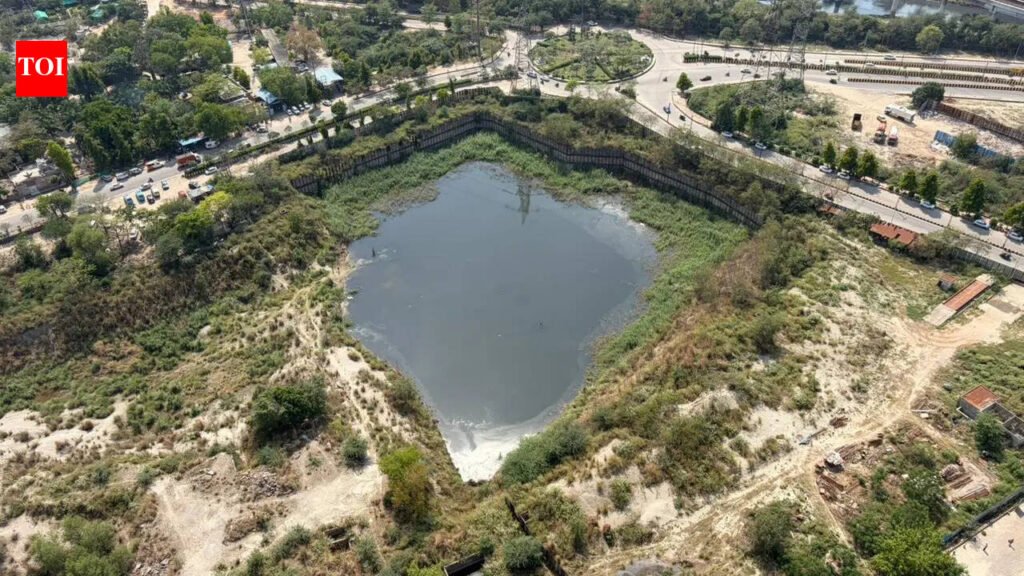 No murder evidence yet, police may close Noida drowning case | Noida News