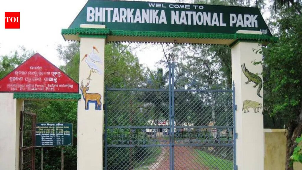 Forest dept urges district admin to evict six illegal hotels in Bhitarkanika | Bhubaneswar News