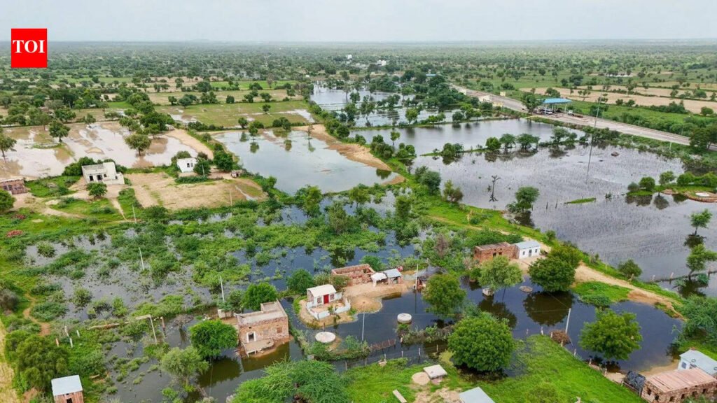 RPCB plans scientific cleanup of Jojari river, focus on industrial waste | Jaipur News