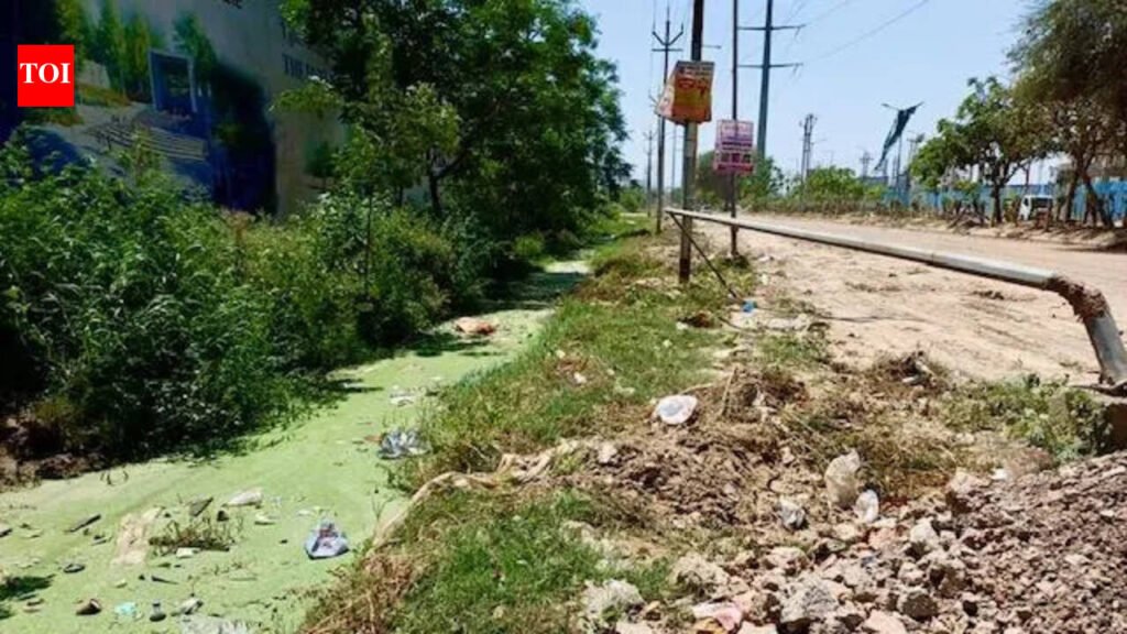 Siddharth Vihar’s crumbling infra: No parks, no waste collection | Noida News