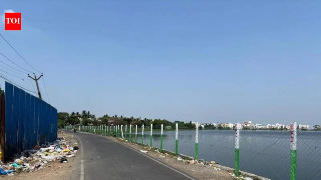 Nanmangalam lake suffers from poor upkeep, WRD apathy | Chennai News