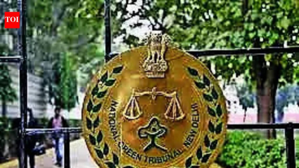 NGT issues notices over waste dumping near schools in Safdarjung Enclave | Delhi News