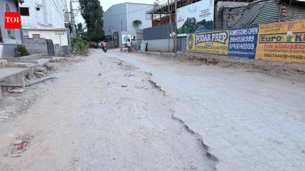 Potholes, trash & flooding: Bengaluru’s Choodasandra residents face daily ordeal | Bengaluru News