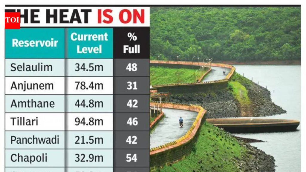 Water levels in reservoirs across Goa dip to below 50% of capacity | Goa News