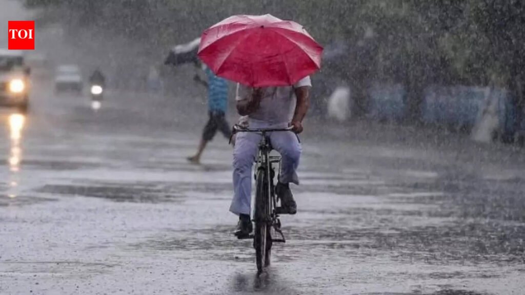 IMD’s rain forecast brings cheer to NE farmers | Guwahati News