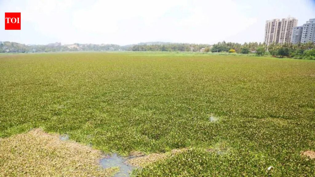 Tender delay hits Akkulam Lake rejuvenation plan | Thiruvananthapuram News