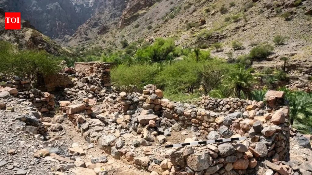 Oman Archaeological Discovery: Oman: What began as road construction reveals 3,000-year-old graves and rare Iron Age burial rituals | World News