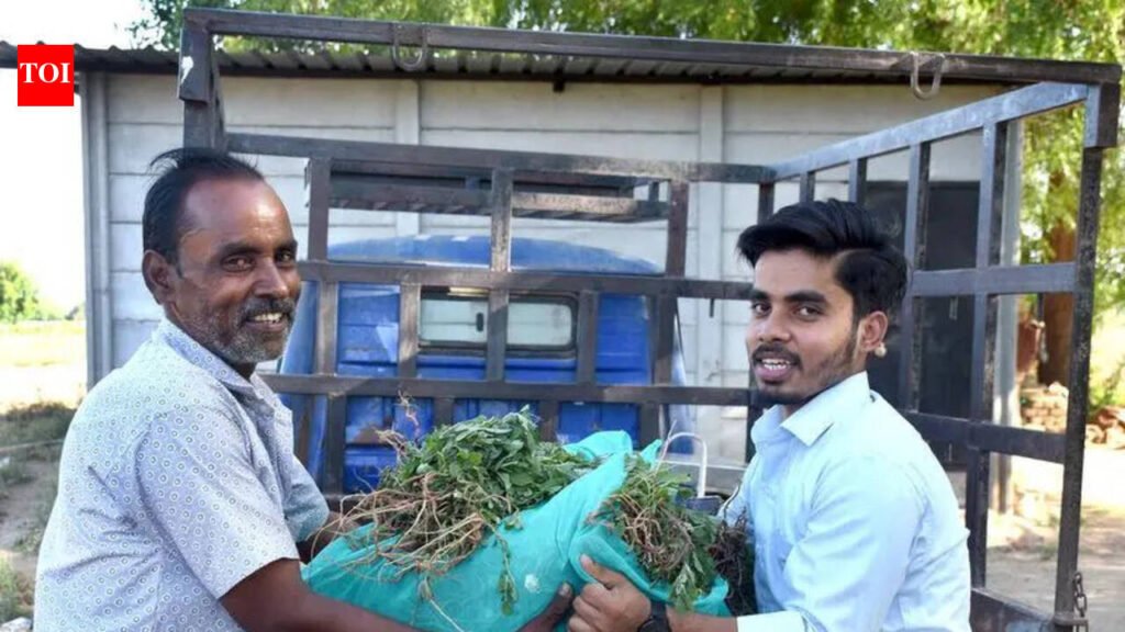 Vegetable seller’s children chase medical dreams | Ahmedabad News
