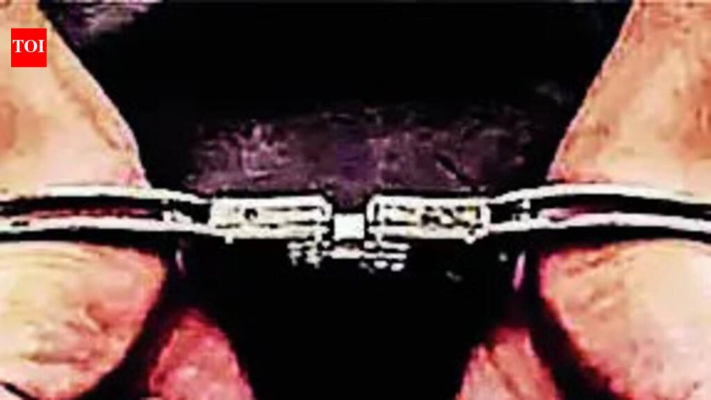 3 pose as Bhati gang members to extort Rs 10 crore from bizman, held | Noida News