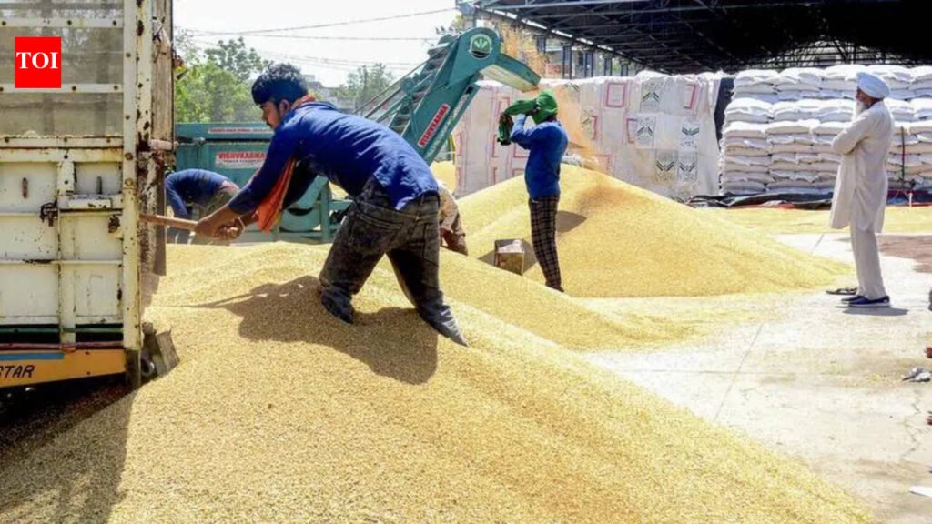 Over 62% wheat yet to be procured in Punjab | Chandigarh News