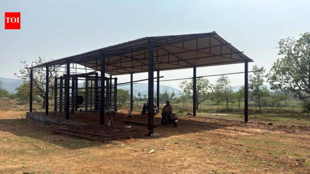 State’s first elephant care centre comes up at Dalma foothills | Ranchi News