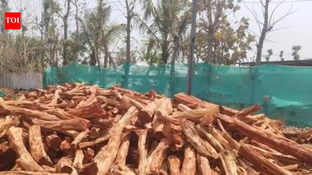 Karnataka govt cracks down on illegal timber trade in Hassan forest division | Bengaluru News