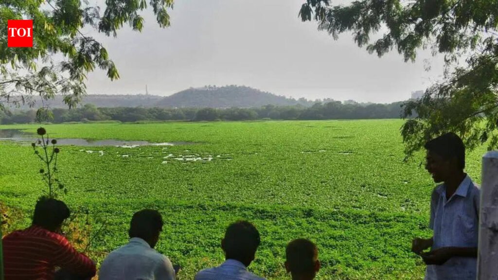 Pashan Lake sewage to be treated at bigger STP in Baner | Pune News