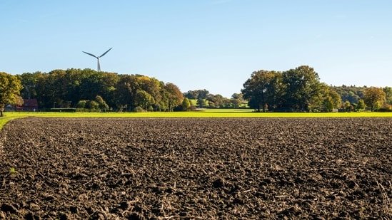 TCS buys 20 acres of land in Bengal Silicon Valley Tech Hub at New Town, Kolkata for ₹94 crore