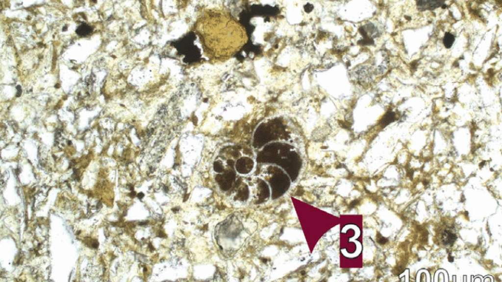 Dwarka Basin: an ancient haven