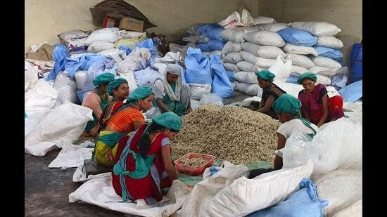 Rice takes the lead, drives ₹79.95 crore export boom in Prayagraj
