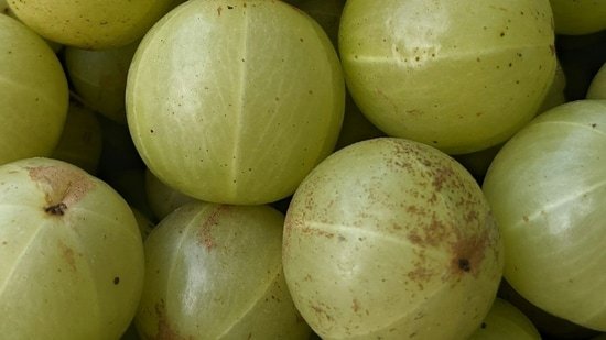 Fortis gastroenterologist shares 5 foods that women should add in their daily diet: Halim seeds, amla and more