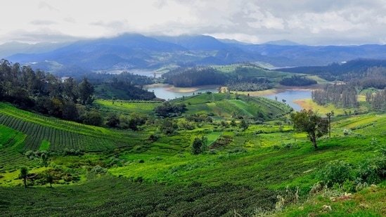 10 road trips from Bengaluru that are ‘under 10 hours and actually feel like a vacation’: Wayanad, Ooty to Gokarna