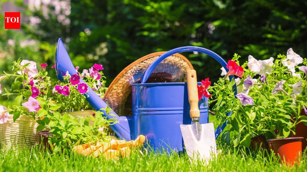 Things you are not allowed to do in your garden in UK
