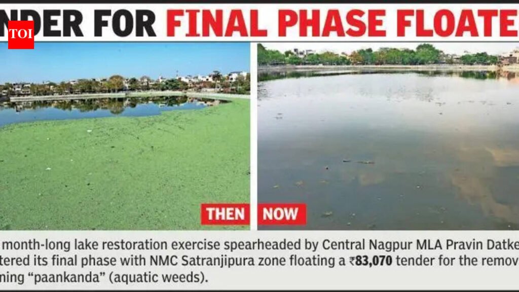 NMC marks final phase of Naik Talao clean-up drive