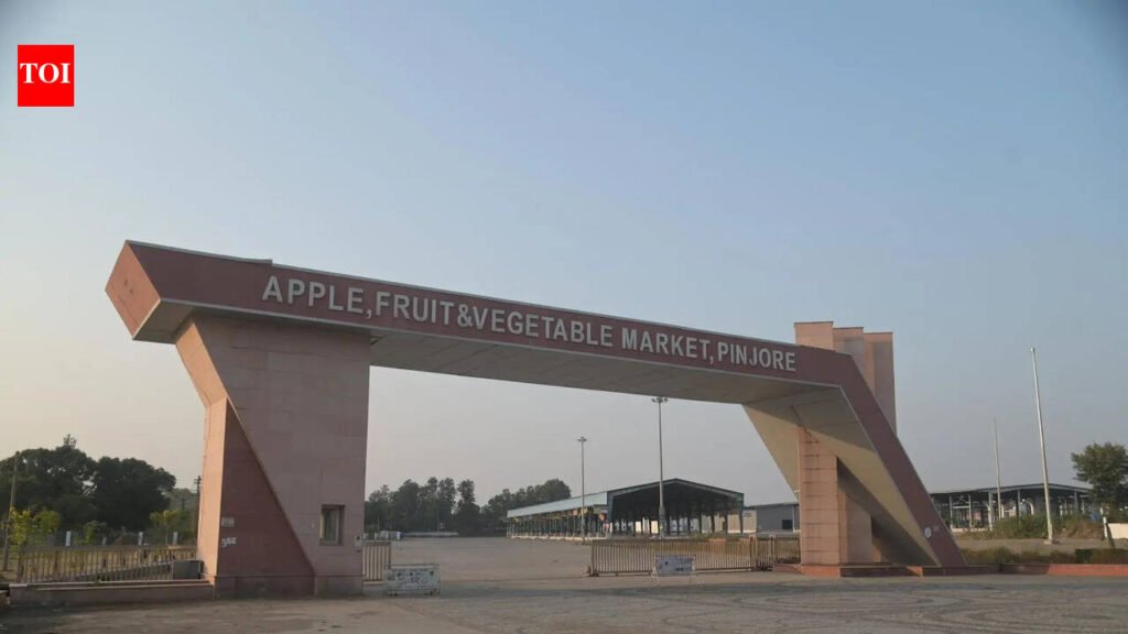 Pinjore fruit market revamp on cards, HSAMB moves to appoint consultant